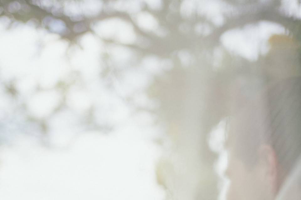 Wedding-day portrait