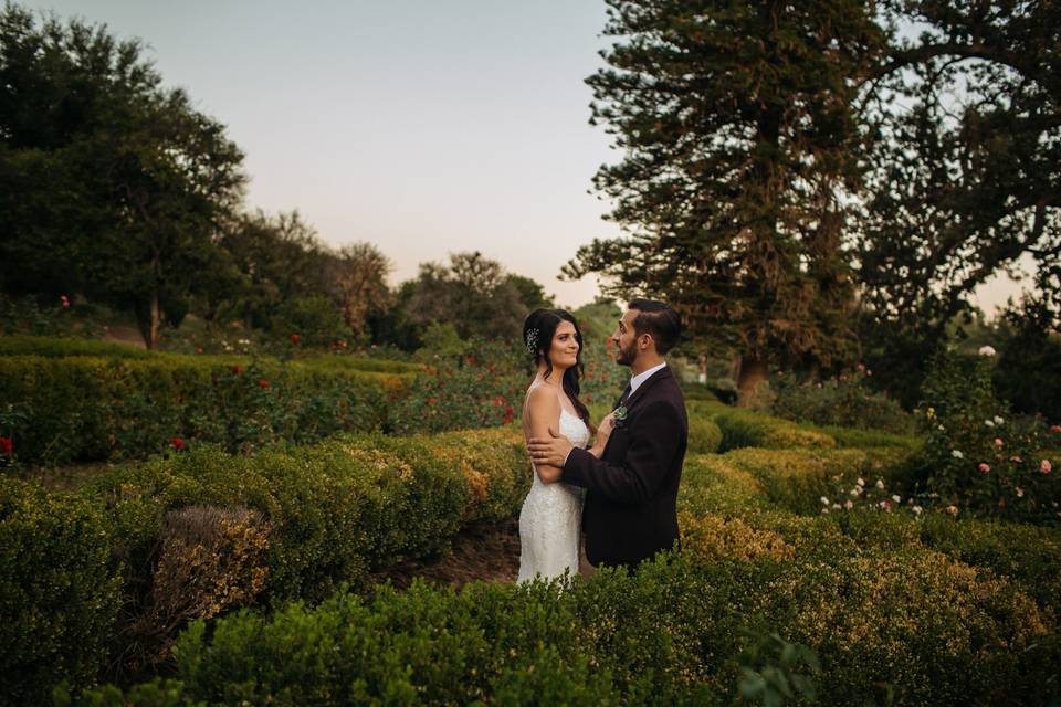 Wedding in Los Angeles Ari&Desiree