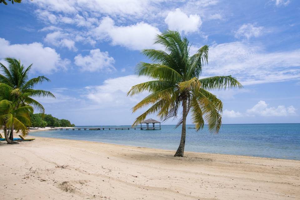 Caribbean