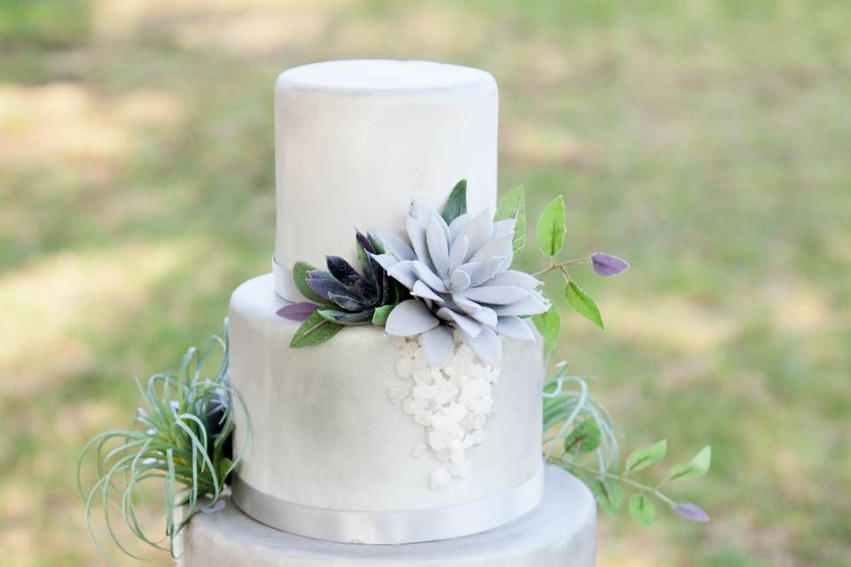 Purple succulent cake