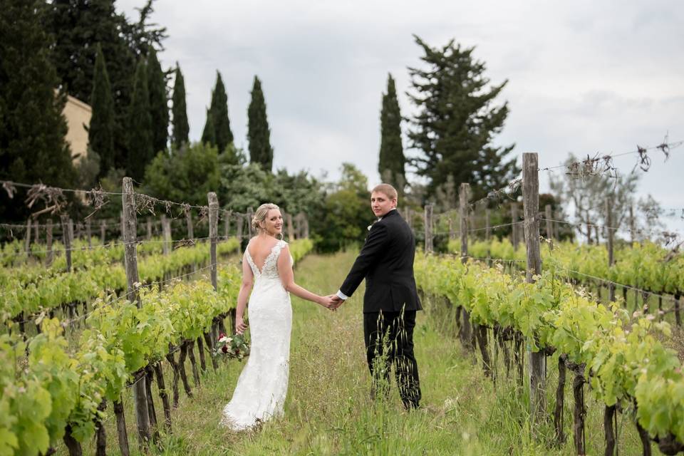 Wedding in a vineyard