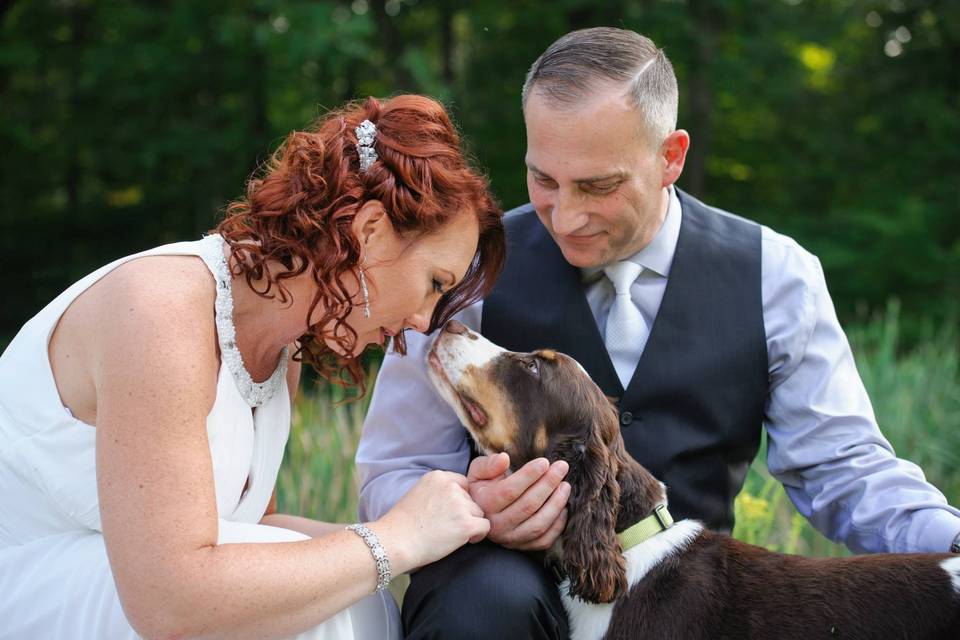 Dogs in weddings!! LOVE IT