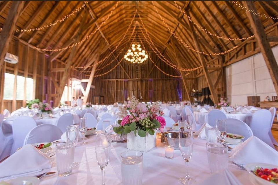 Pink flowers while tables