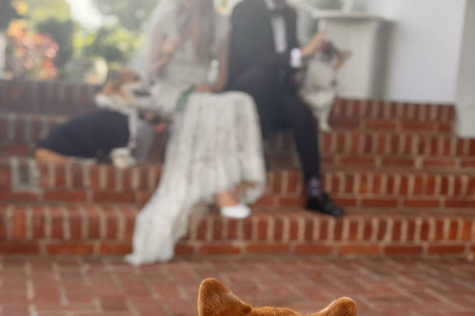 First Look