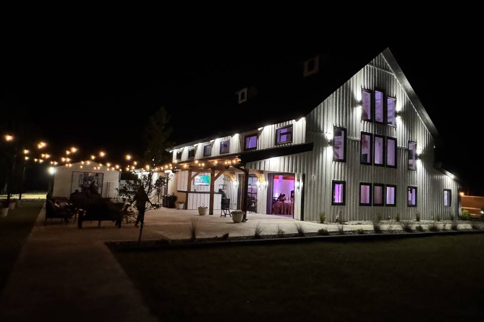 Party Lights