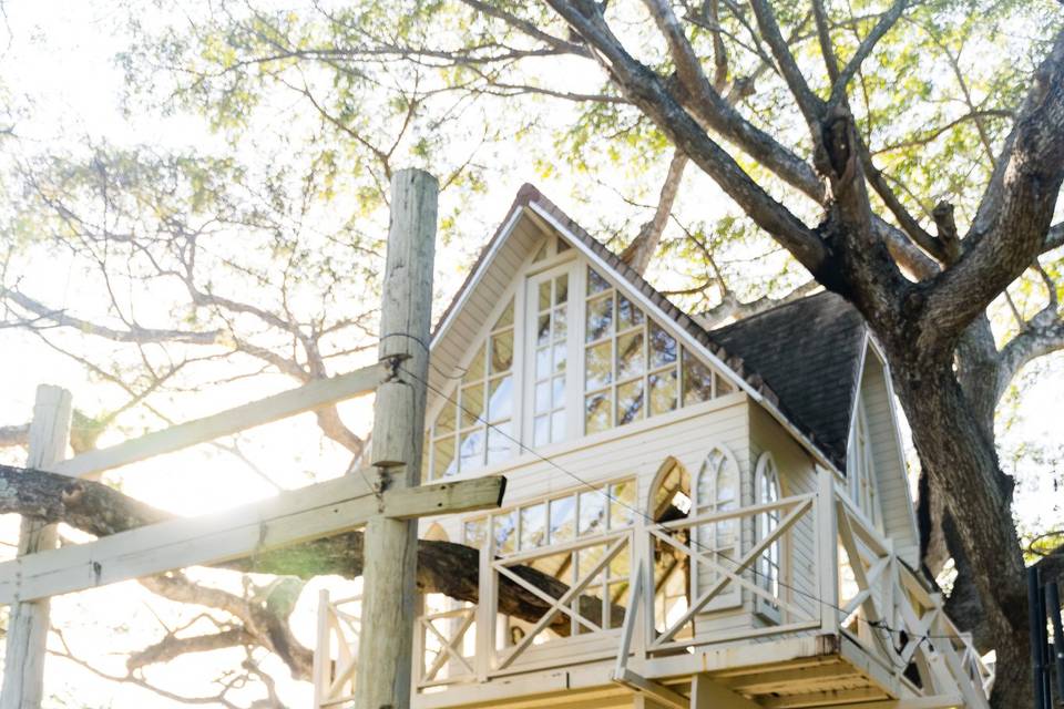 Under the Tree House
