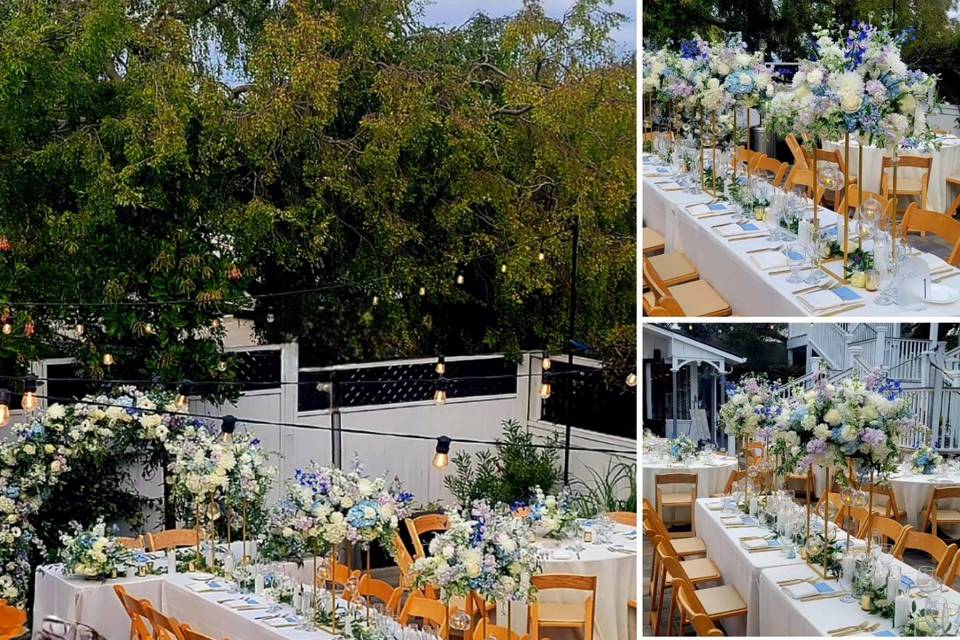 Whimsical Reception