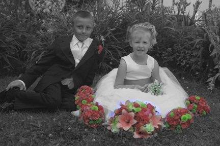 Creative Photos by Caroline