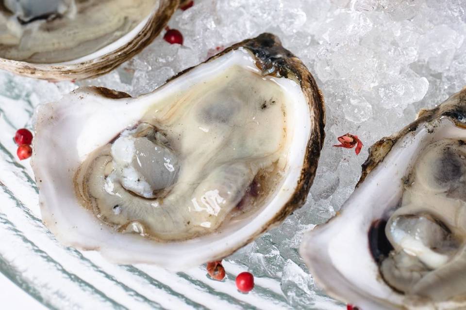 Chilled Oysters