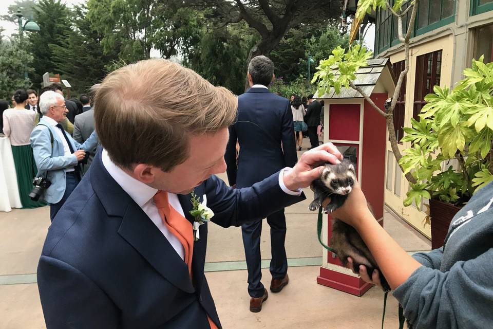 Guests love getting to know the animals