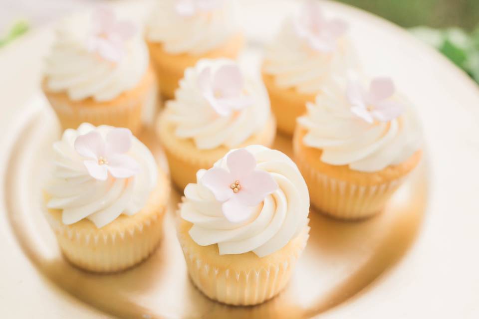 Blush pink cupcakes