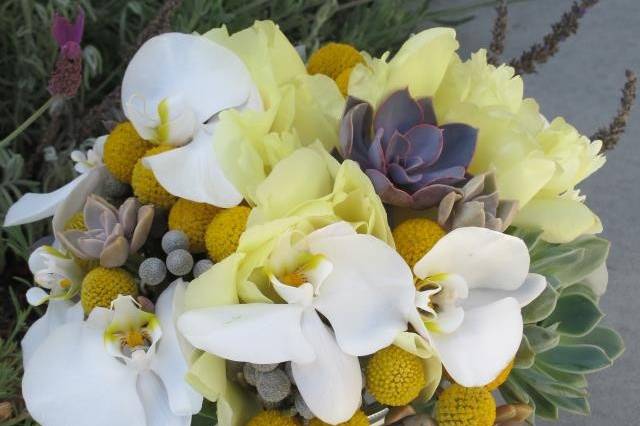 Succulents balance the elegance of white phales