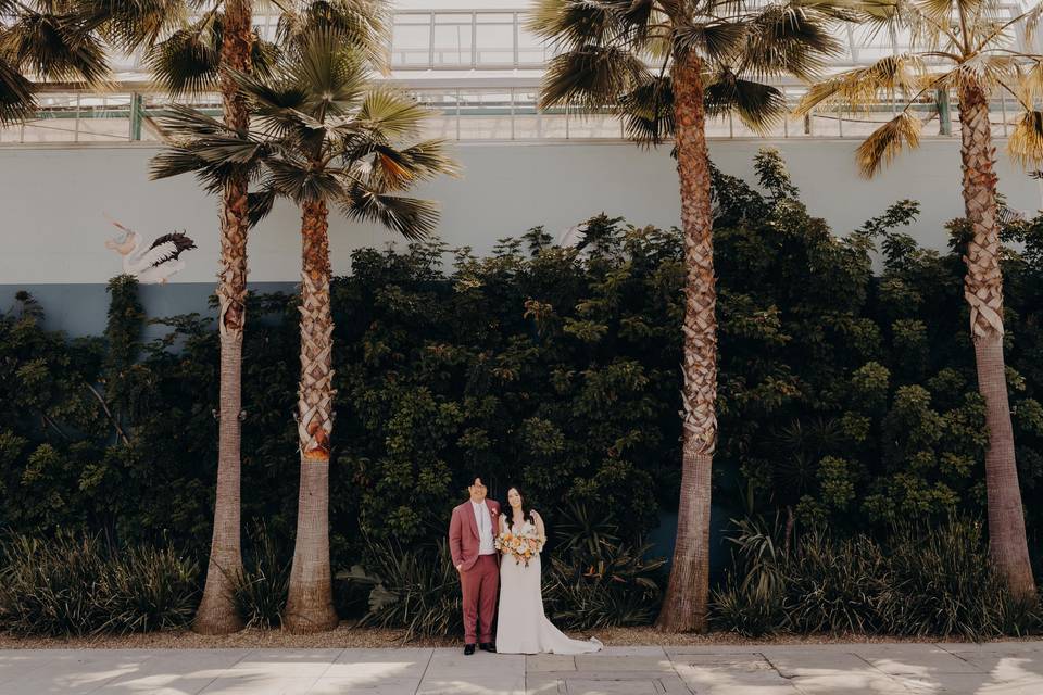 Wedding