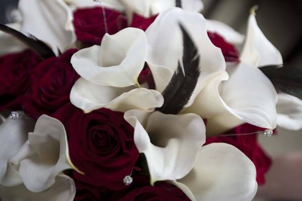 d2 Wedding Photography