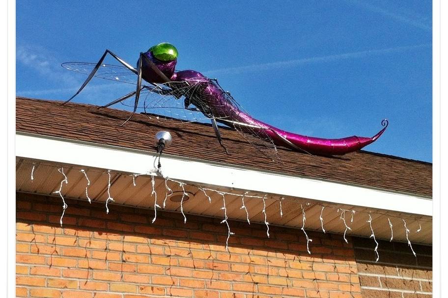 Dragonfly Sculpture by Jay Seaman of Trumansburg, NY. When you see the Dragonfly, that's our roof!