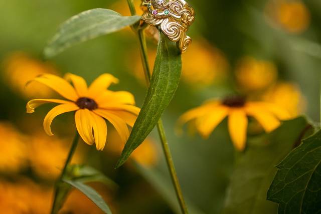 Dawn Kearney Photography