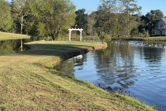 Pond Site