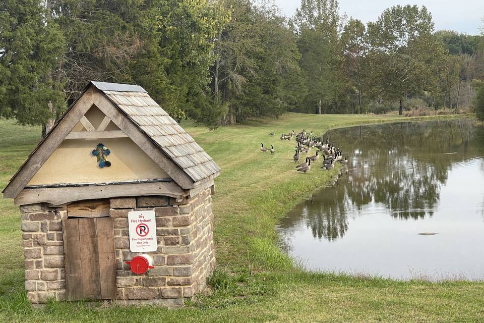 Pond Site