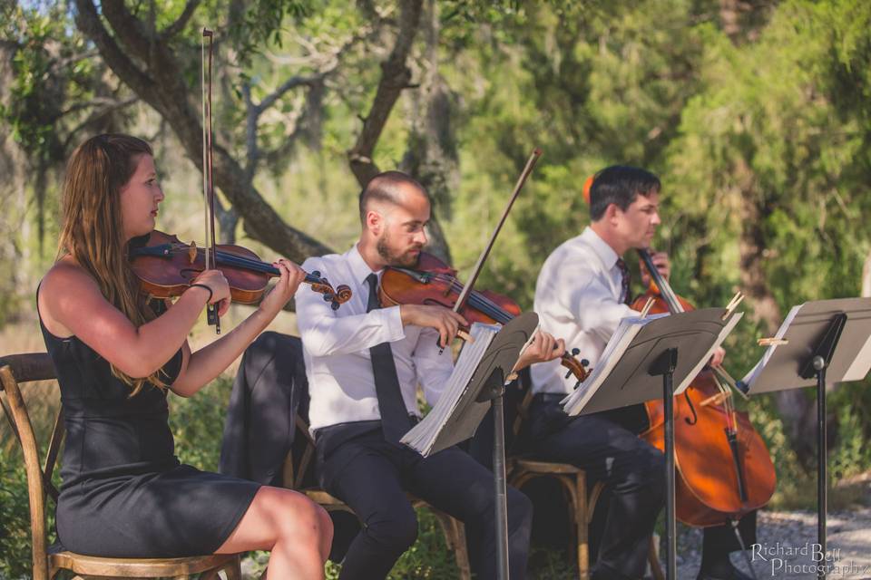 Charleston Virtuosi