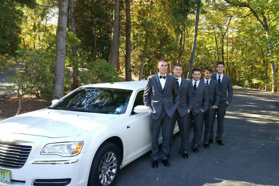 Suited beside the car