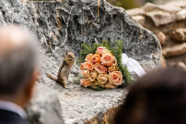 Wedding couple