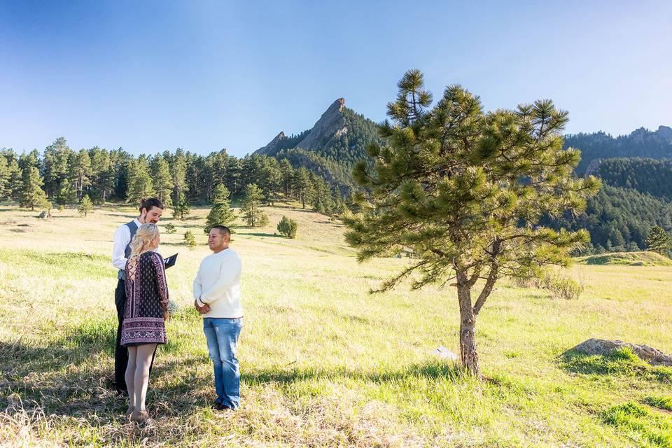 Simple Park Ceremony