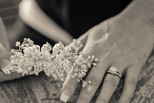 BlackOpal Rose Photography