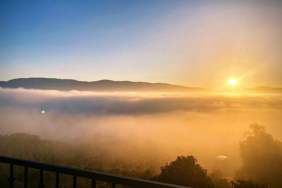 Above the clouds