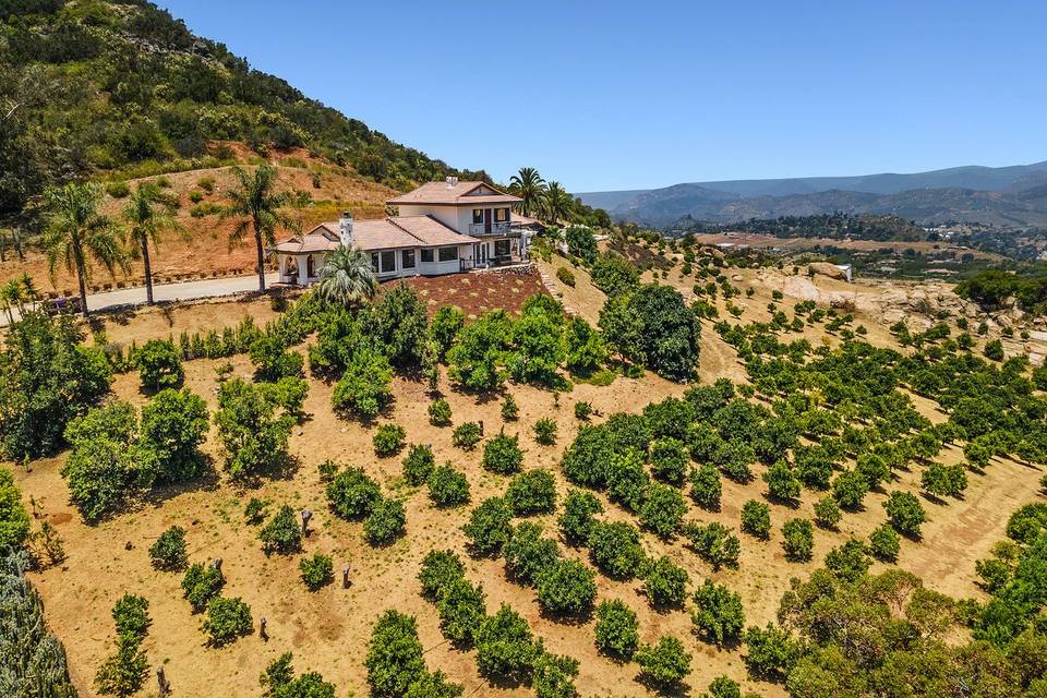 Estate