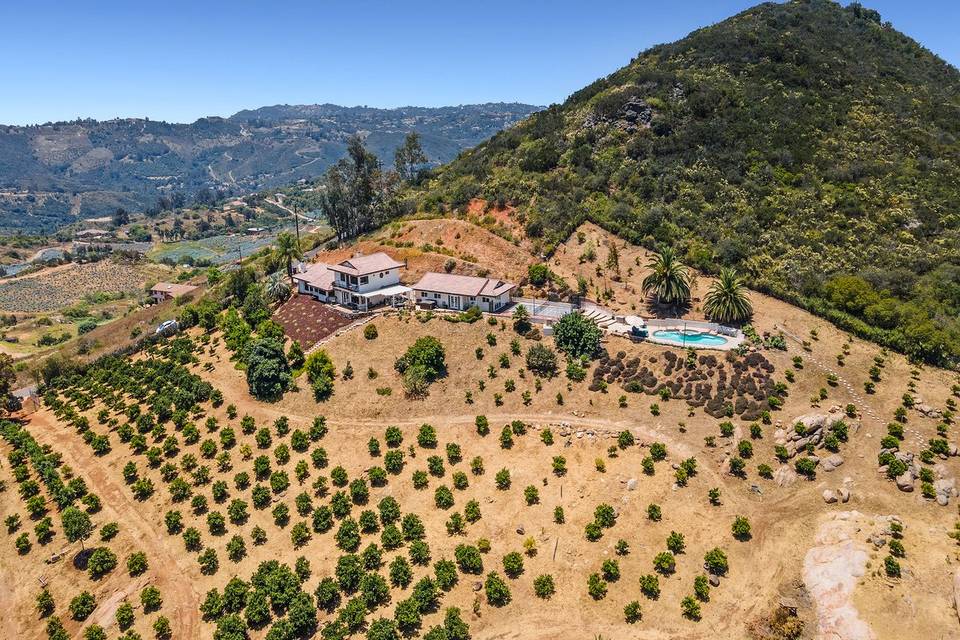 Estate