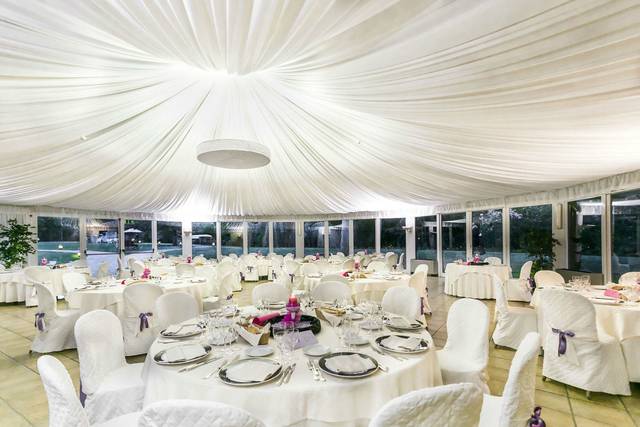 White motif