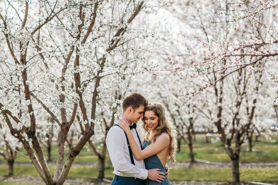 Cherry Blossom Engagement