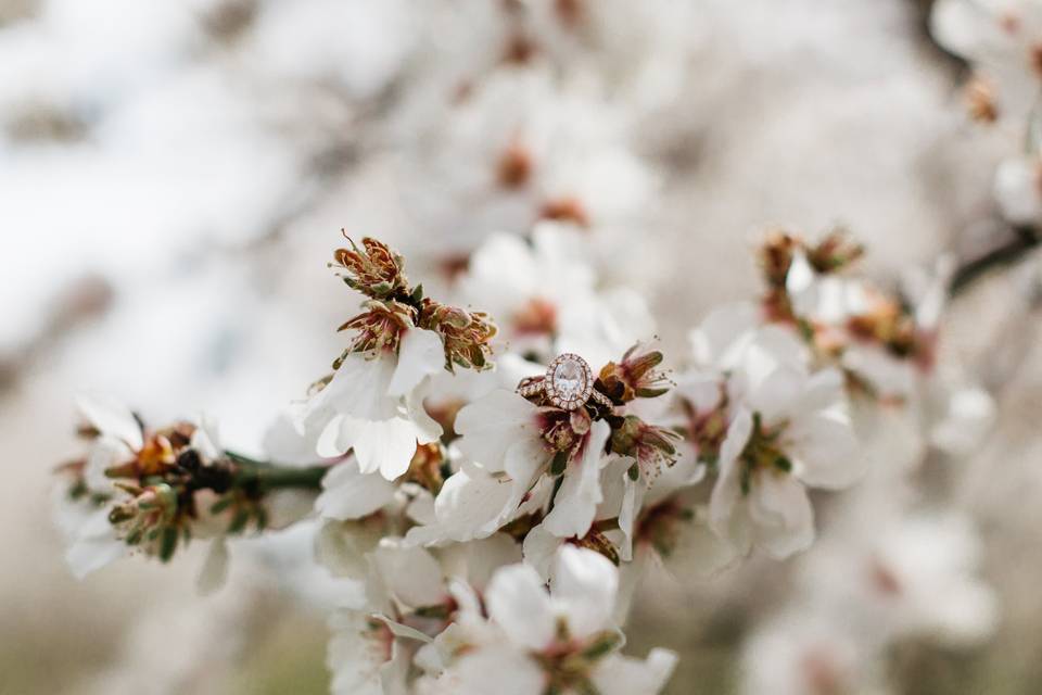 Cherry Blossom Engagement Ring