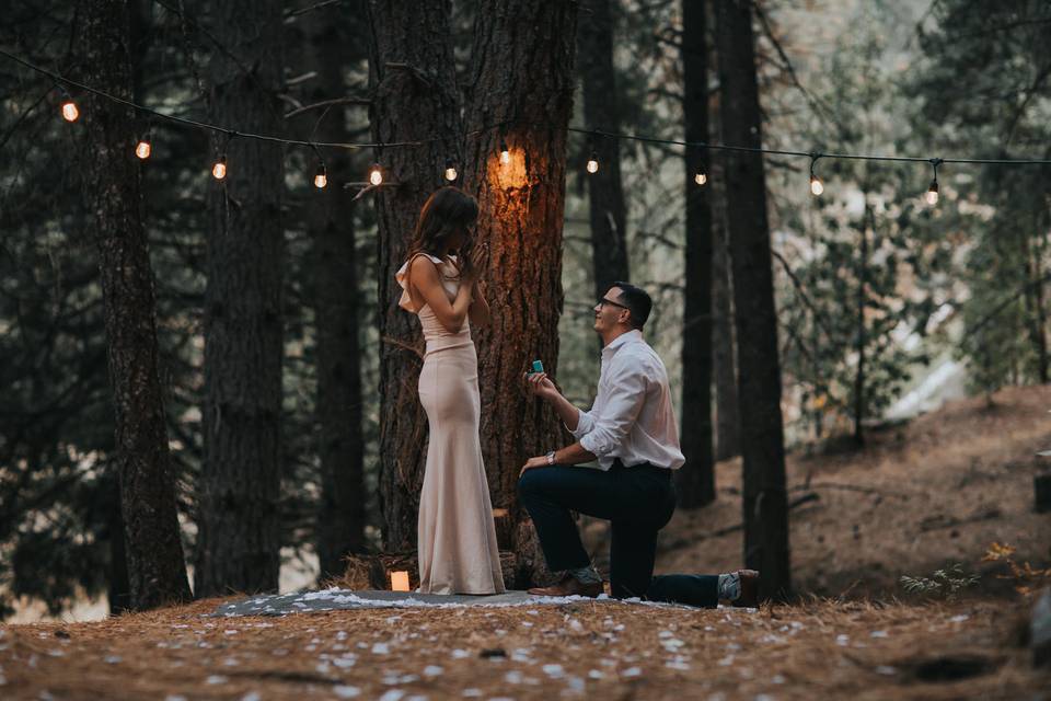 Forest Woods Engagement