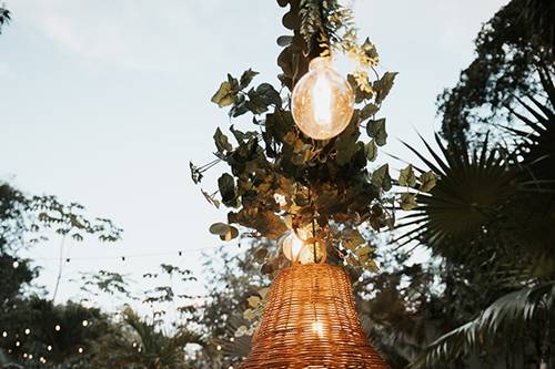 Dinner among the trees