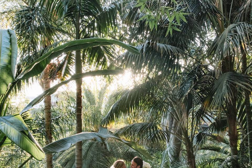 A cinematic Tulum moment