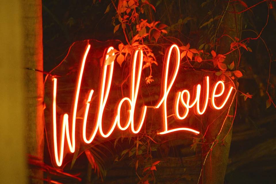 Wild love in neon light