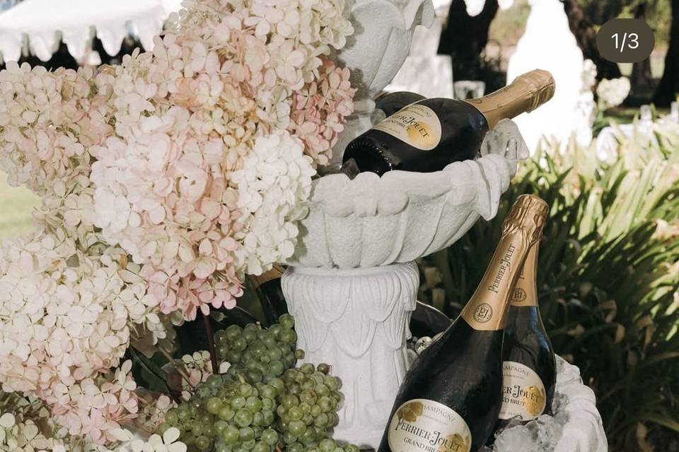 Champagne sparkle & elegance