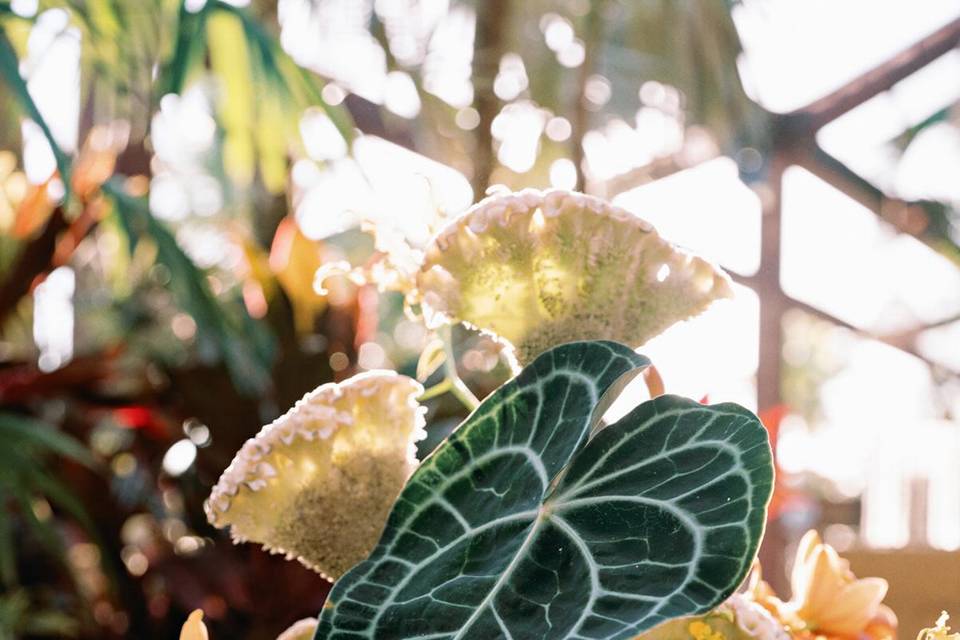 Tropical bar styling