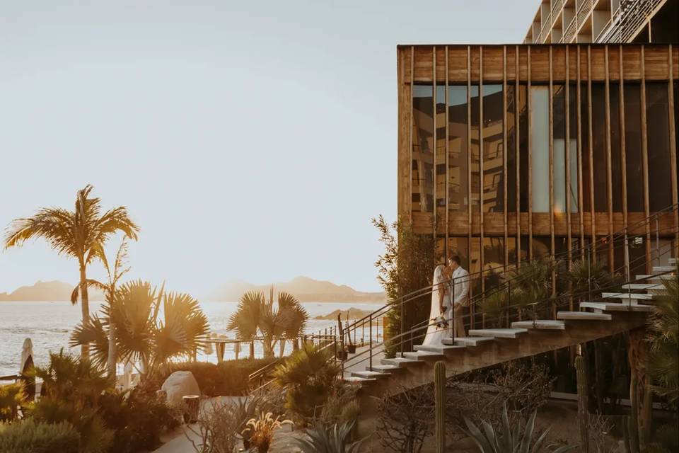 Esperanza in golden light