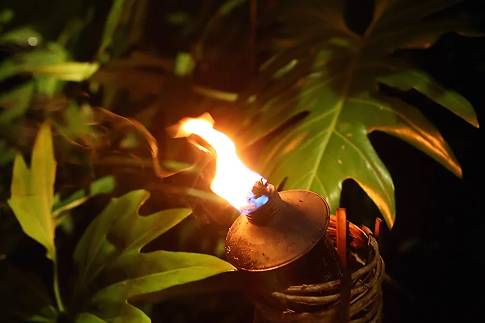 Warmth of the evening