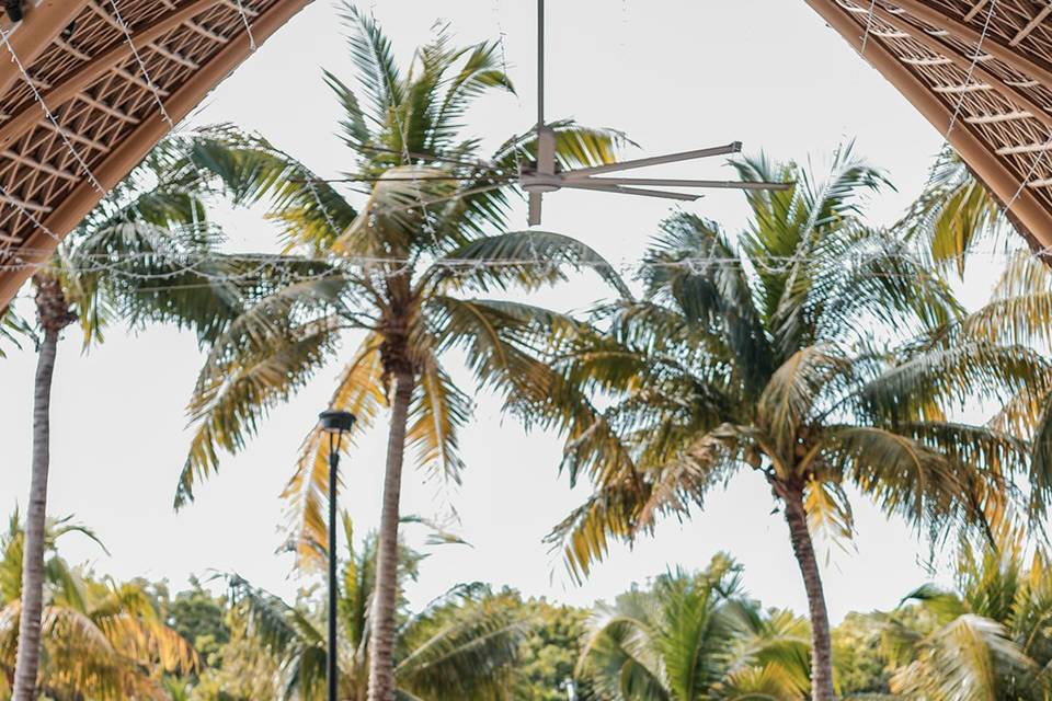 Tropical wedding details