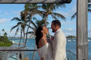The Wedding Creator