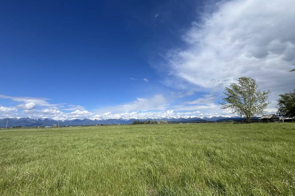 Sweeping Pasture