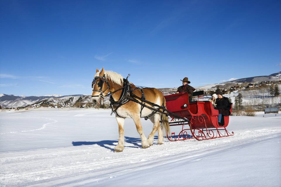 Horse drawn carriage