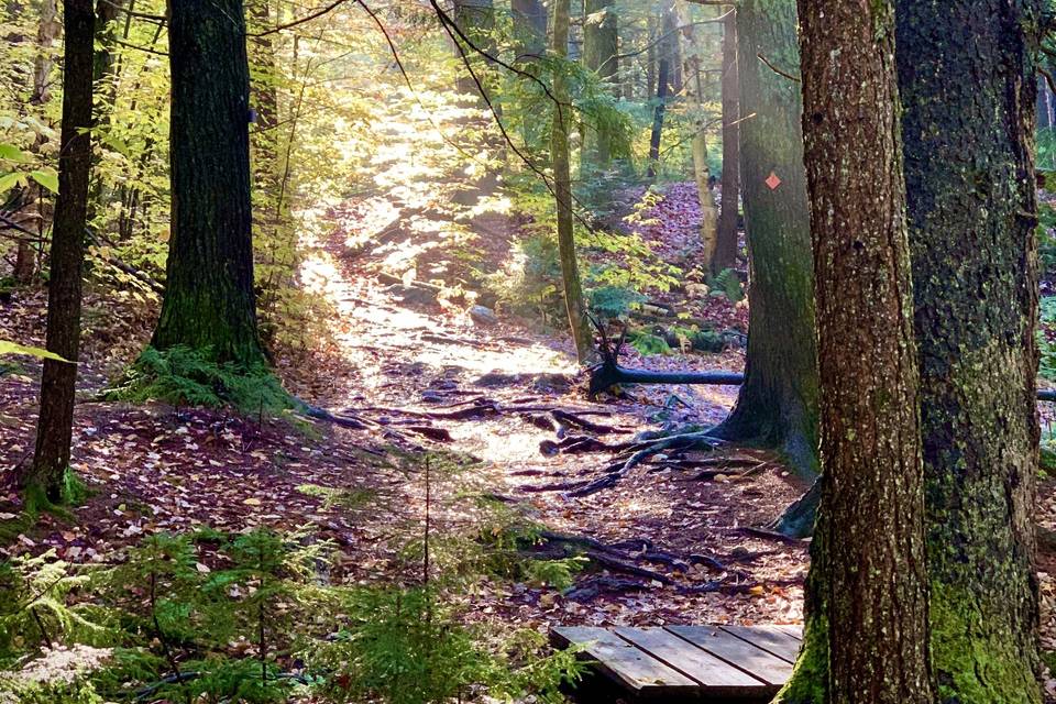 Walking Trails at Eden