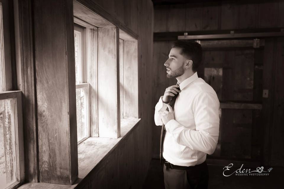 The Groom at the Window