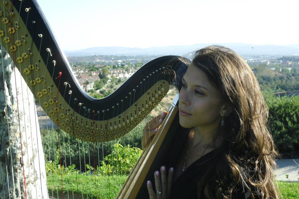 Chiara Turner Harpist