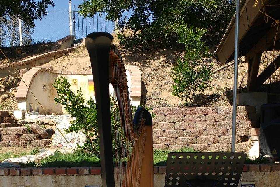 Chiara Turner Harpist