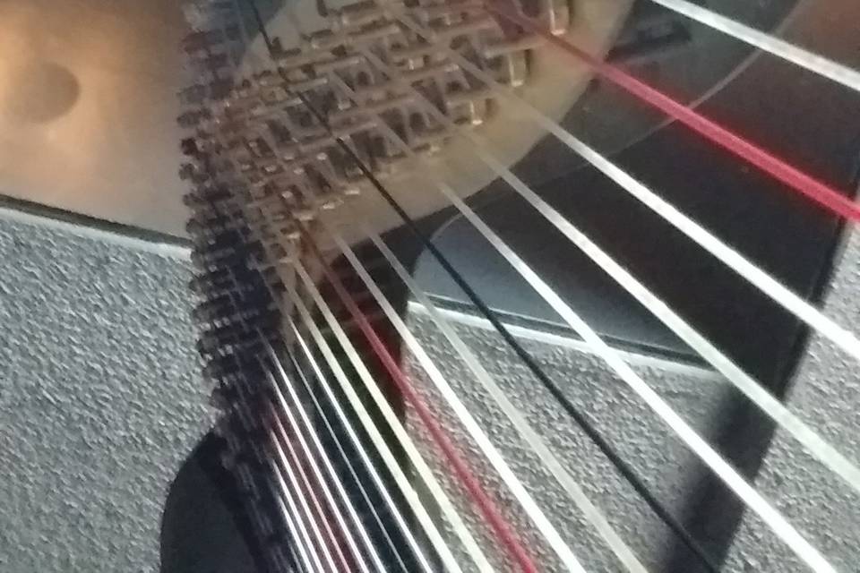 Chiara Turner Harpist